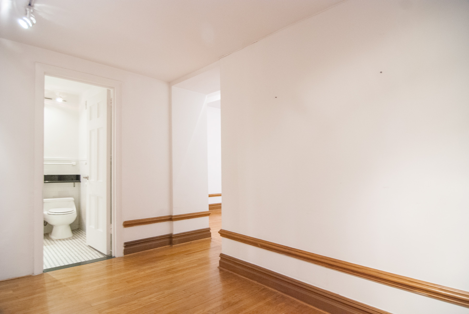 The Meurice - 145 West 58th Street, #3d